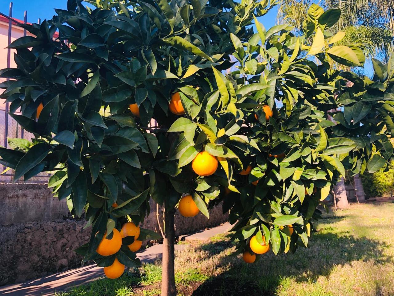Valentino Bed & Breakfast Giardini-Naxos
